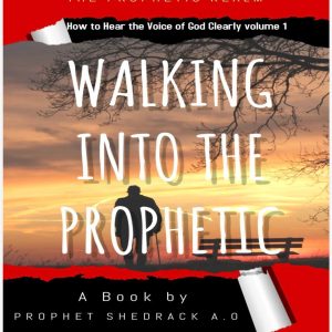 WALKING INTO THE PROPHETIC Vol. 1